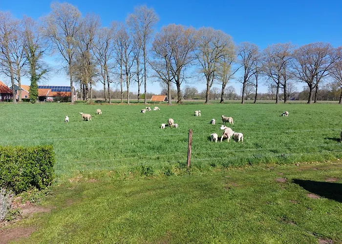 Kruisselbrink Holiday home