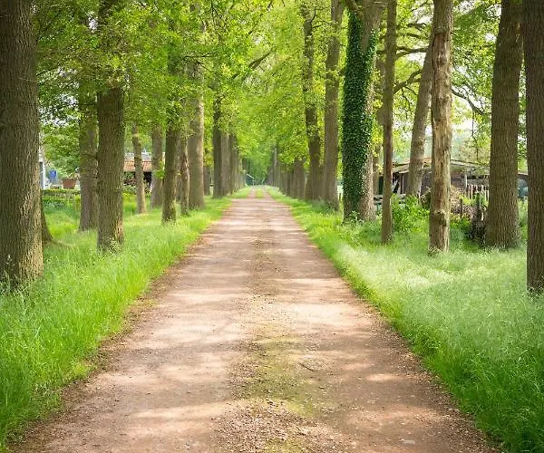 Kruisselbrink Winterswijk