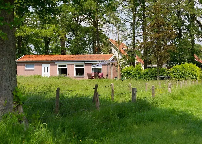 Kruisselbrink Holiday home *