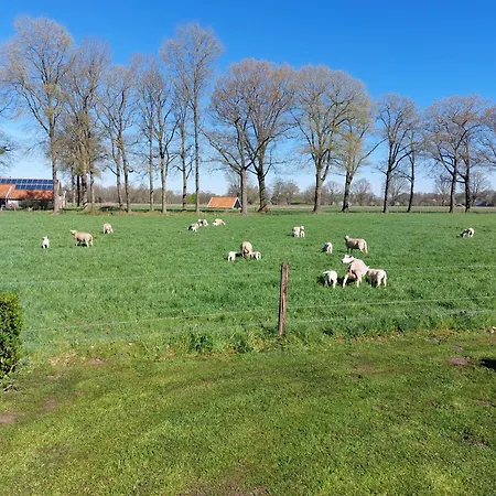 Kruisselbrink Vakantiehuis